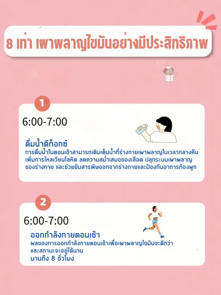 พ ช ตการเผาผลาญไขม น 8 เวลา
