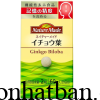 Nature Made Ginkgo Biloba 0