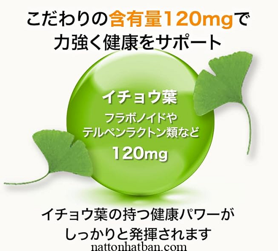 Suntory Ginkgo Biloba Astaxanthin Vitamin C Vitamin E 1