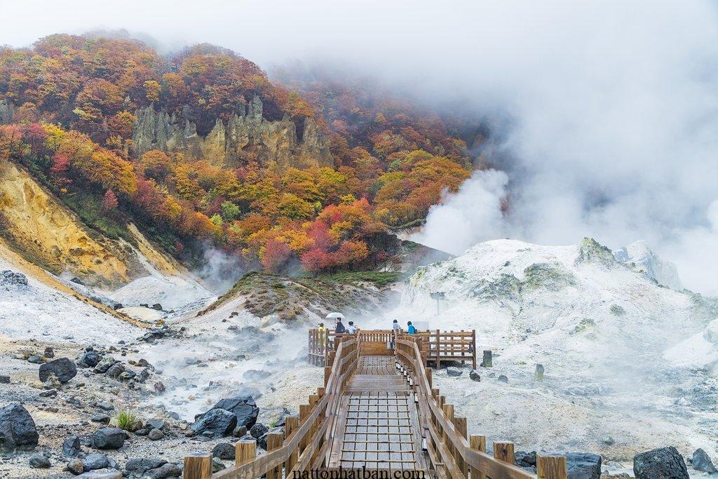 Discover the Beauty of Hokkaido A Guide to Japan's Northern Island