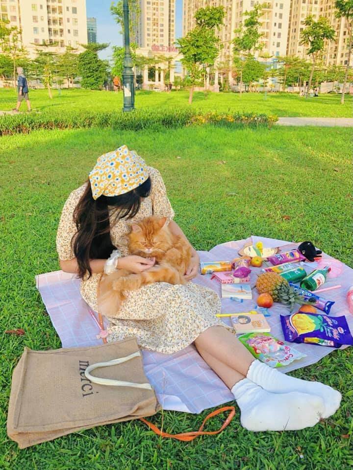 Gioi Thieu 10 Dia Diem Picnic Cuoi Tuan Tai Ibaraki Nhat Ban