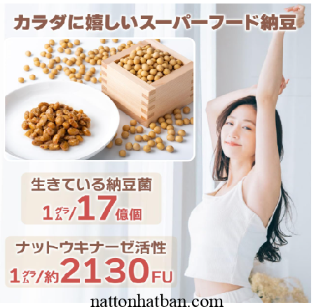 Natto NICHIGA khô vị nước tương 400g