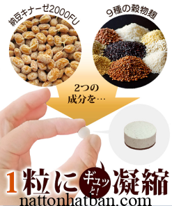 Natto Kinase Enzyme Koji 2000fu 0