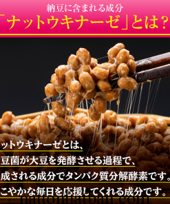 Nattokinase 4000fu Premium 0