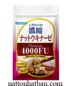 Nattokinase 4000fu Premium 1