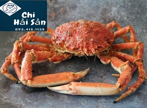 Cua Nhen Nhat Ban Taka Ashi Gani Bao Nhieu Tien 1kg Nau Mon Gi Ngon